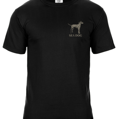 Alternative view of Sea Dog Founder